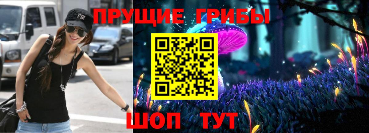 Галлюциногенные грибы Psilocybine cubensis Нижневартовск