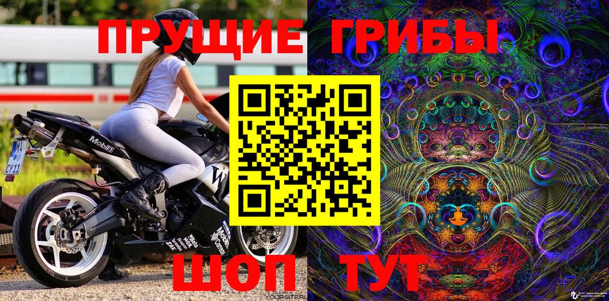 Нижневартовск  Галлюциногенные грибы Psilocybe  Вход с VPN 